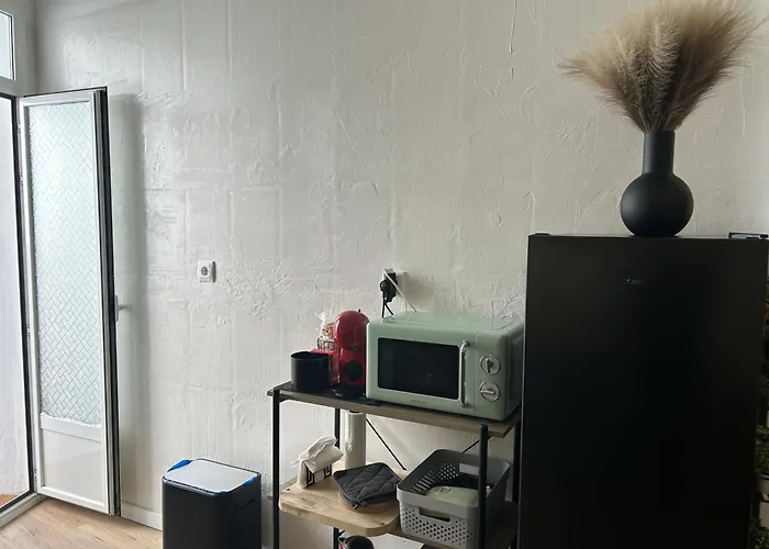 Casa Cedro Historia Y Confort Parking Gratuito Lejlighed Zaragoza